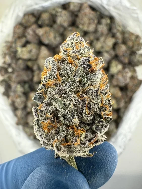 Buy Blueberry THC Weed