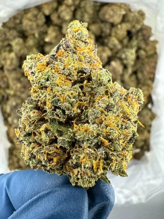Buy Blue Sunset Sherbet weed