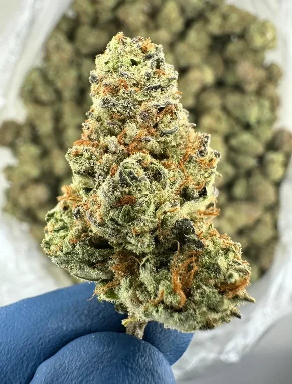 Buy AK-47 weed